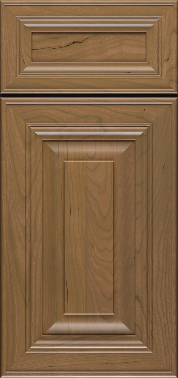 Artesia 5-piece cherry raised panel cabinet door in desert