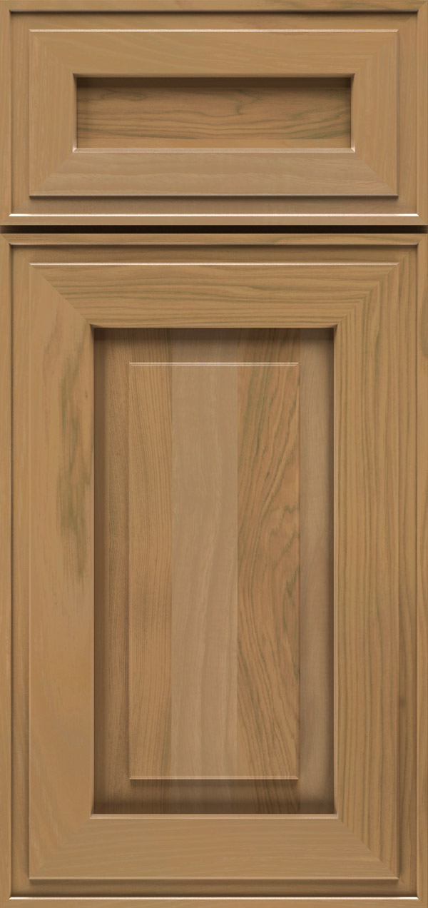 Clio 5-piece pecan raised panel cabinet door in desert