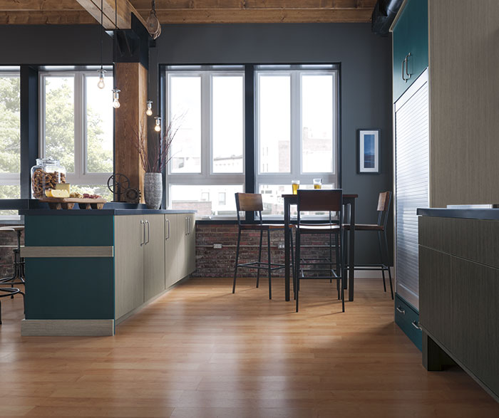 Modern kitchen with Nella Textured Laminate cabinets and custom paint