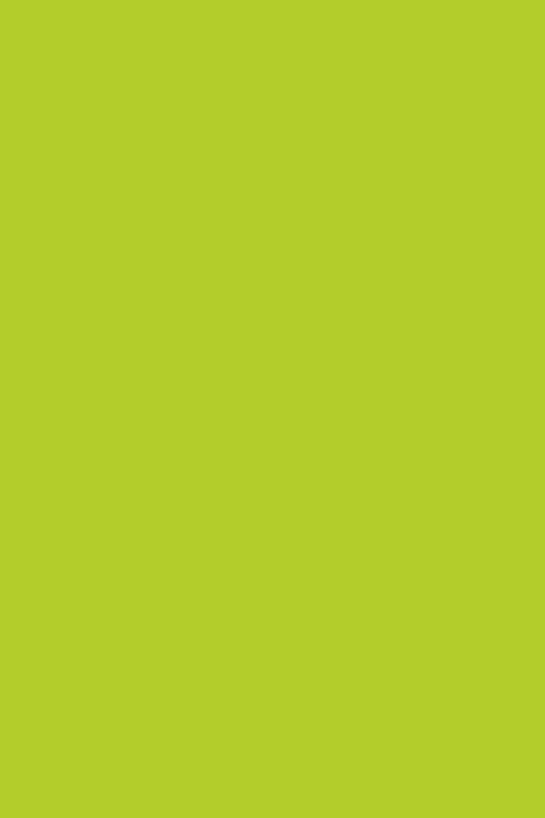 Kiwi High Gloss Parapan Cabinet Door Inserts Omega