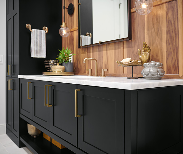 Bold and Beautiful Black Maple Bathroom